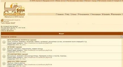 A macska tulajdonosa oldalak legjobb tíz azok számára, akik élnek a macskák