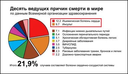A leggyakoribb betegségek, a kardiovaszkuláris rendszer (jelei szív- és érrendszeri betegségek) A leggyakoribb betegségek, a szív-és érrendszer