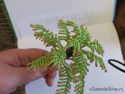 Házi tenyér gyöngyök (Palm) Házi tenyér gyöngyök
