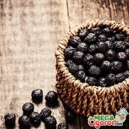 Sunberry leírás, termesztés vetőmag és tulajdonságait bogyók