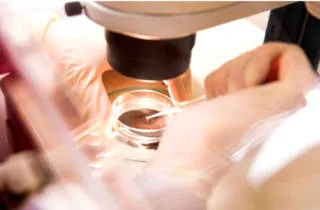 Hogyan kell szedni a teszt staphylococcus