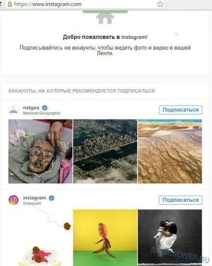 Világ szociális háló, hogy az