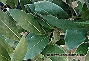 Kezelés és tulajdonságai