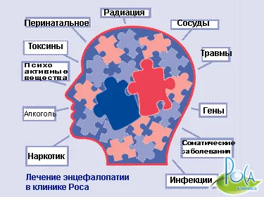 agy encephalopathia kezelésére