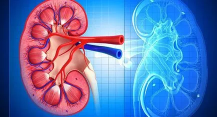 Azt jelenti, kezelésére urolithiasis