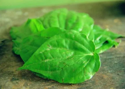 kiárad, mint a