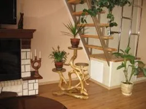Padló állványok a virágok saját kezűleg Padló állványok a virágok saját kezűleg