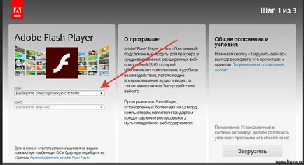 Hogyan működik a Flash Player