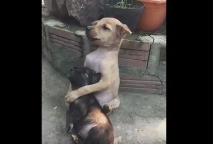 Ne hidd, amit látsz