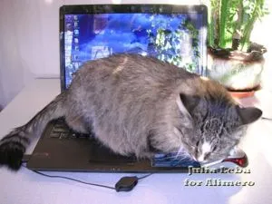 Számomra kommunikáció az interneten