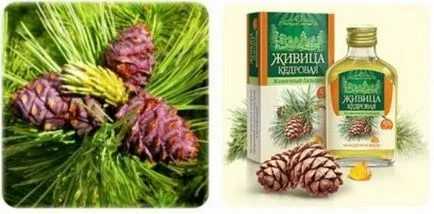 Hogyan tisztítsa meg a szervezet Hogyan tisztítsa meg a szervezet