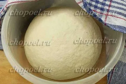 Oszét piték krémsajttal és burgonyával Oszét piték sajttal és burgonyával