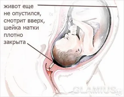 Mivel a gyomor kezd esni Mivel a gyomor kezd esni