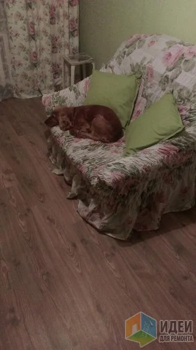 Mi bíbor álmok