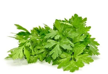 Hogyan kell vetni petrezselyem Hogyan kell vetni petrezselyem