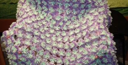 Takaró a pompon mester osztály Takaró a pompon mester osztály