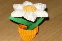 hogyan karton