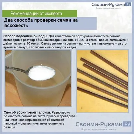 Paradicsom cserépben Paradicsom cserépben