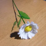Hogyan készítsünk egy disznó