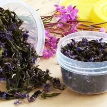 Hogyan készüljünk tea fűzfa tea