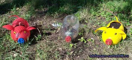 Hogyan készítsünk egy disznó