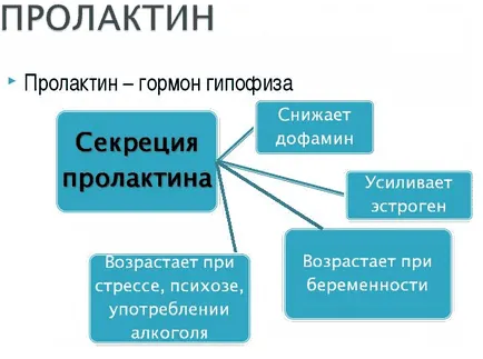 Mi a teendő, ha magas a prolaktin Mi a teendő, ha magas a prolaktin