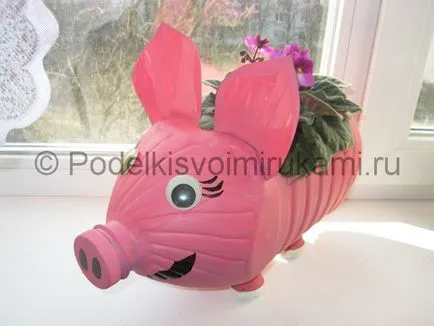 Hogyan készítsünk egy disznó