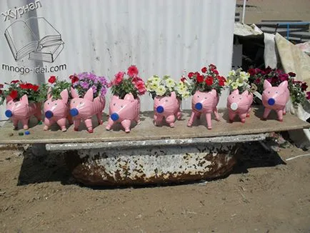 Hogyan készítsünk egy disznó Hogyan készítsünk egy disznó