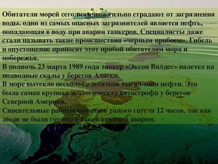 Mi ökológia bemutatása Mi ökológia bemutatása