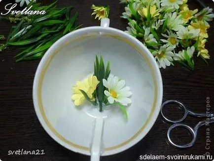 Cup prolivashka mesterkurzus