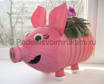 Hogyan készítsünk egy disznó