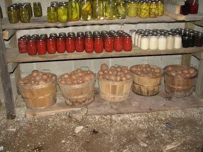 Hogyan kell tárolni a burgonya