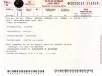 Ticket kutyáknak Ticket kutyáknak