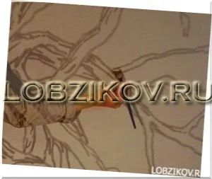 Rajzok, hogyan kell csinálni Rajzok, hogyan kell csinálni