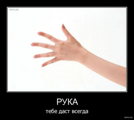 Odaadom neked a szakaszon