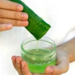 Mitől Aloe Mitől Aloe