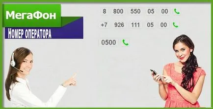 Megafon üzemeltető hogyan kell megtalálni a számot Megafon üzemeltető hogyan kell megtalálni a számot