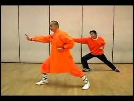 Hogyan lehet megtanulni kung fu otthon
