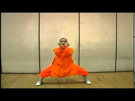 Hogyan lehet megtanulni kung fu otthon
