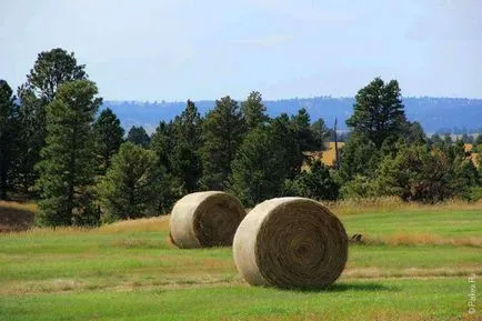 Wyoming meg Wyoming meg
