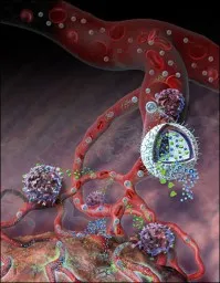 Hírek a sclerosis multiplex