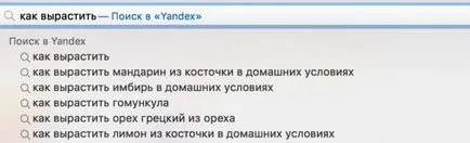 Mi infoproduktov