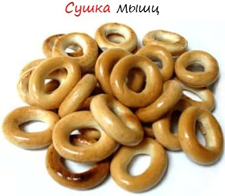 Mi Body Building szárítás
