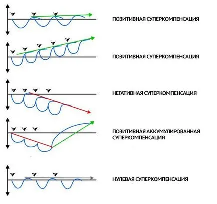 Hogyan lehet elkapni a farok supercompensation
