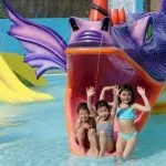 Mi az a fajta terem