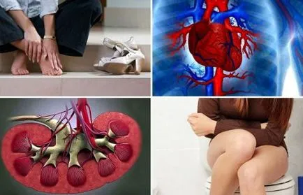 Gyűjtemény gyógynövények kezelésére