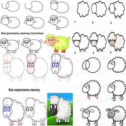 Hogyan készítsünk bárány Hogyan készítsünk bárány