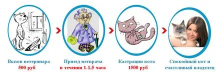 Amikor macskák ivartalanított Amikor macskák ivartalanított