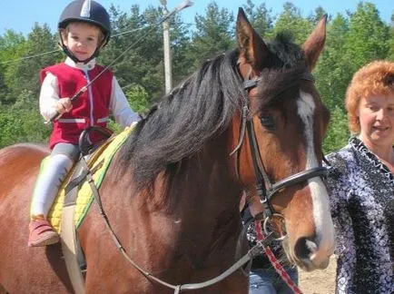 Mindent a lovak és a kezelés