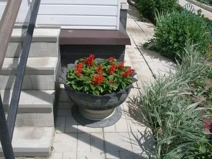 Hogyan készítsünk virágágyások saját kezűleg